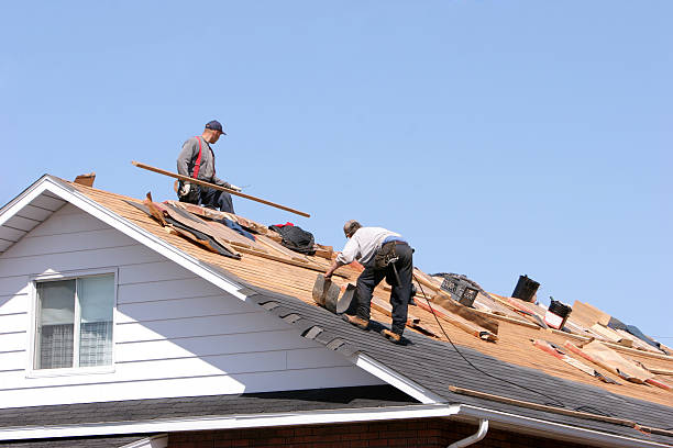 Best Gutter Installation and Repair  in Island Walk, FL